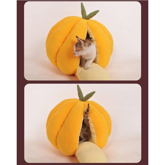 Cute Pumpkin Shaped Sleeping Bed for Cats