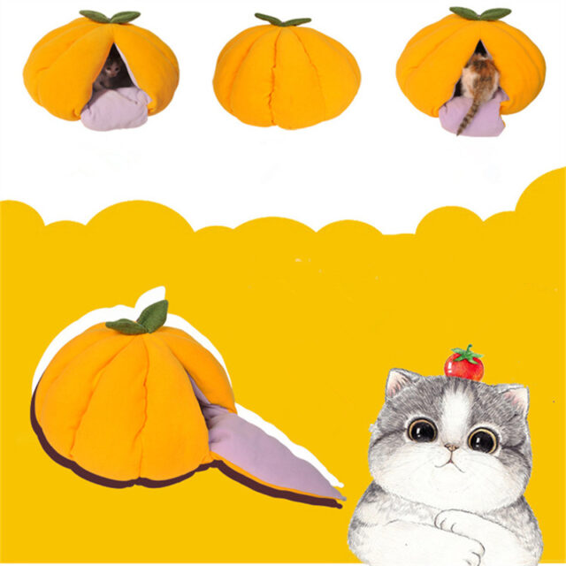 Cute Pumpkin Shaped Sleeping Bed for Cats