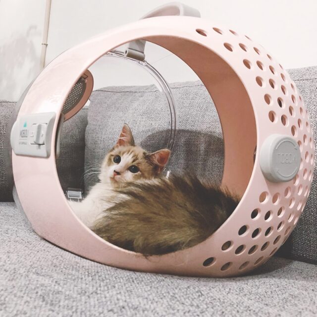 Travel Capsule Shaped Carrier for Pets