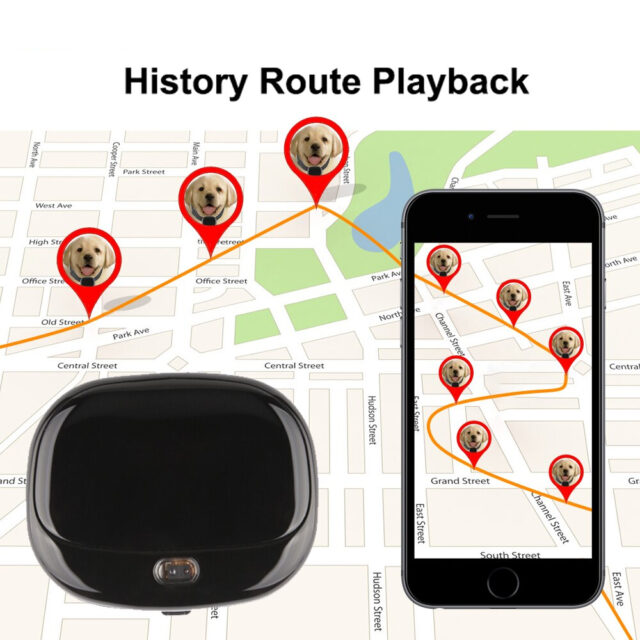 Dog’s WaterproofMini GPS Tracker