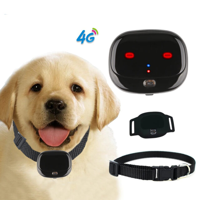 Dog’s WaterproofMini GPS Tracker