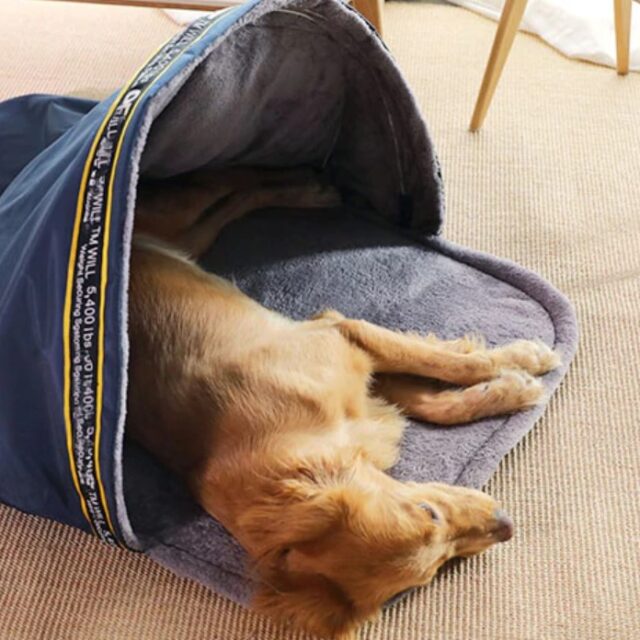 Dog’s Multifunction Waterproof Bed