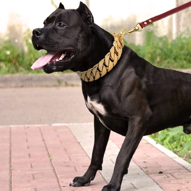 Strong Chain Styled Dog Collar