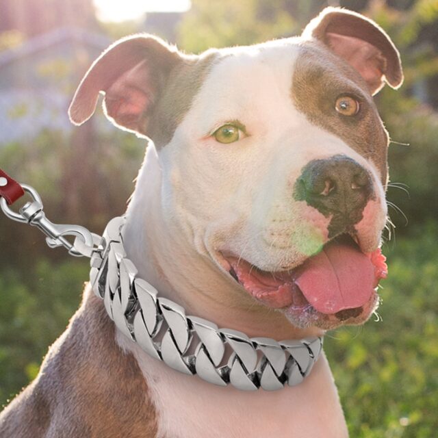 Strong Chain Styled Dog Collar