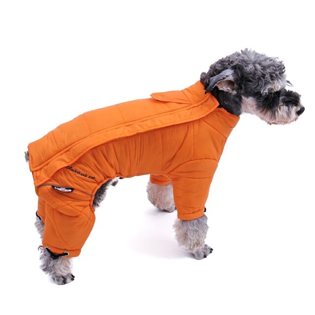 Dog’s Waterproof Colorful Jumpsuit