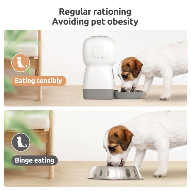 Pet’s Automatic Food Dispenser
