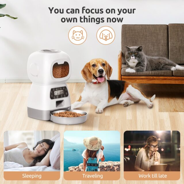 Pet’s Automatic Food Dispenser