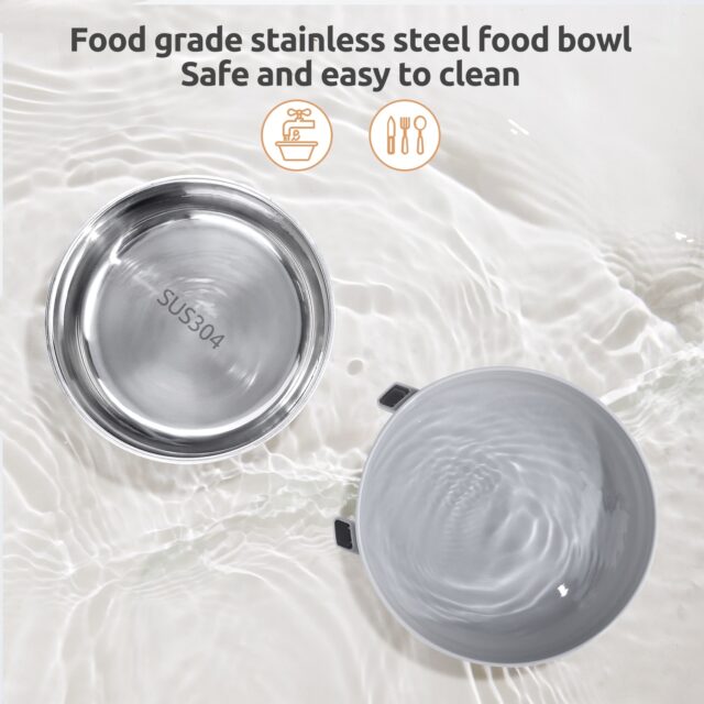 Pet’s Automatic Food Dispenser
