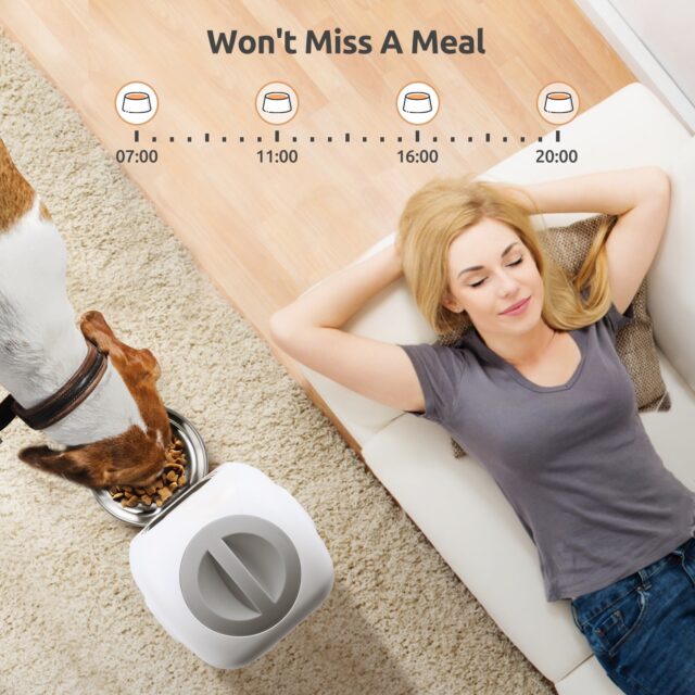Pet’s Automatic Food Dispenser