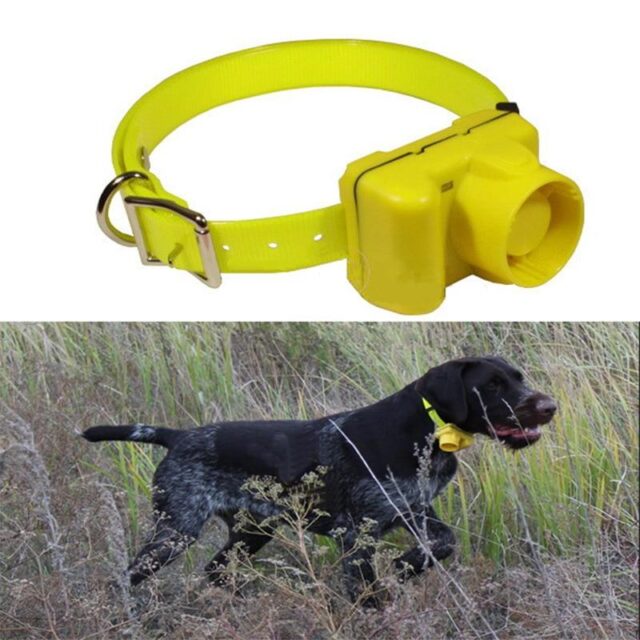 Rechargeable Dog Training Beeper