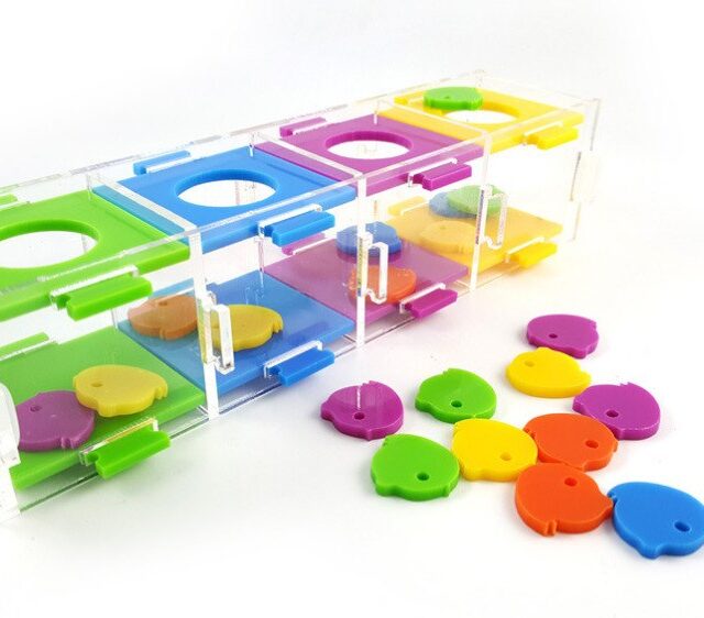 Intellectual Training Toy for Parrots