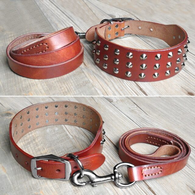 Cool Studded Genuine Leather Dog Collars