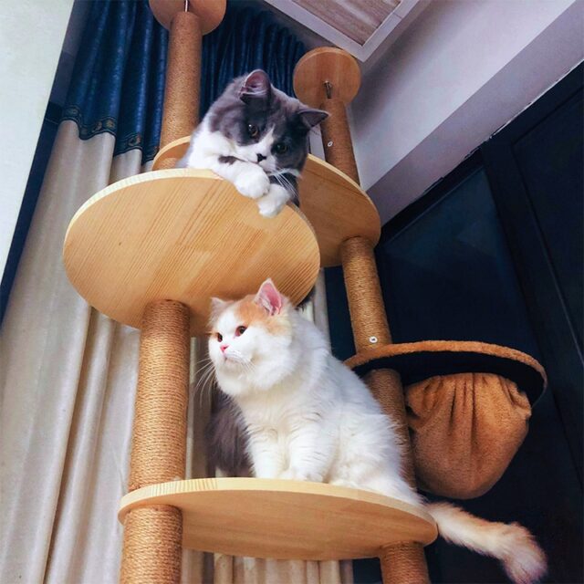 DIY Wooden Cat Scratching Post
