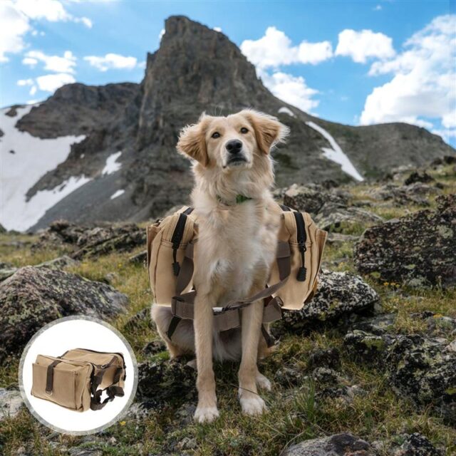 Dog’s Travel Harness Vest with Pockets