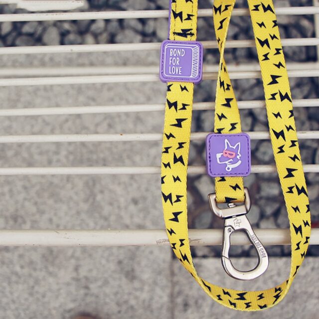 Medium Dog Walking Leash