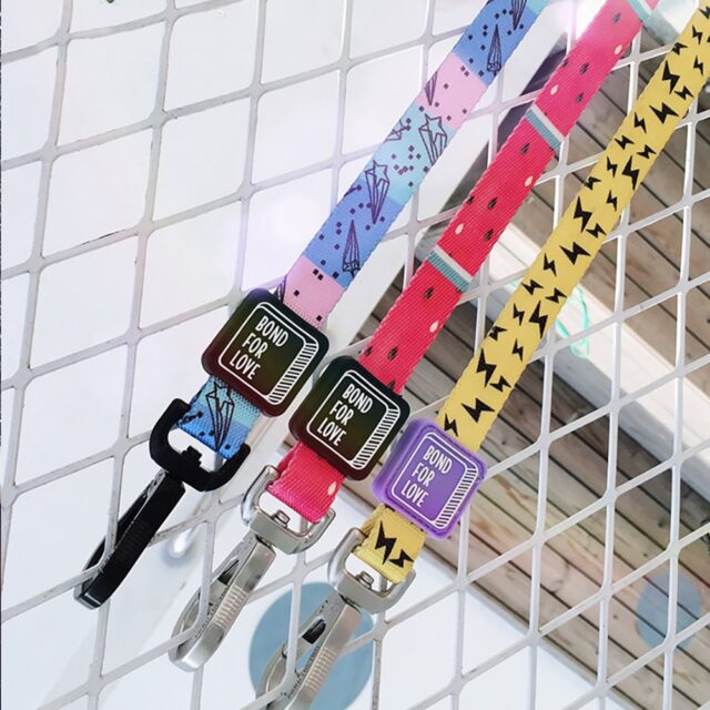 Medium Dog Walking Leash