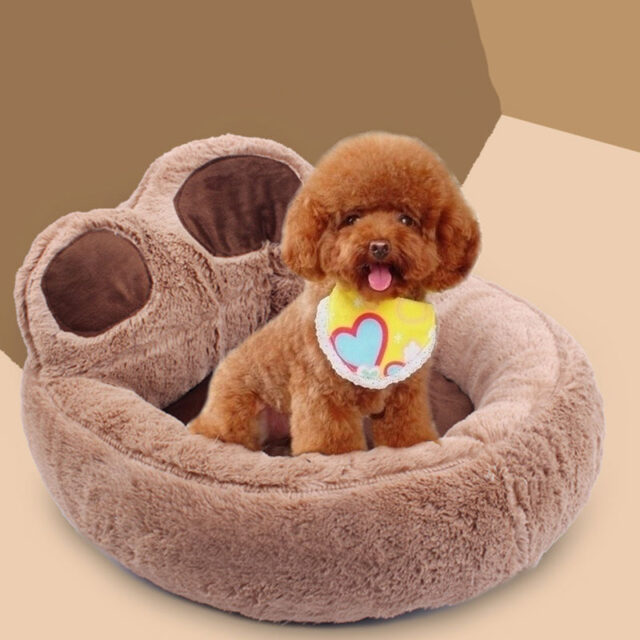 Dog’s Paw Shaped Bed