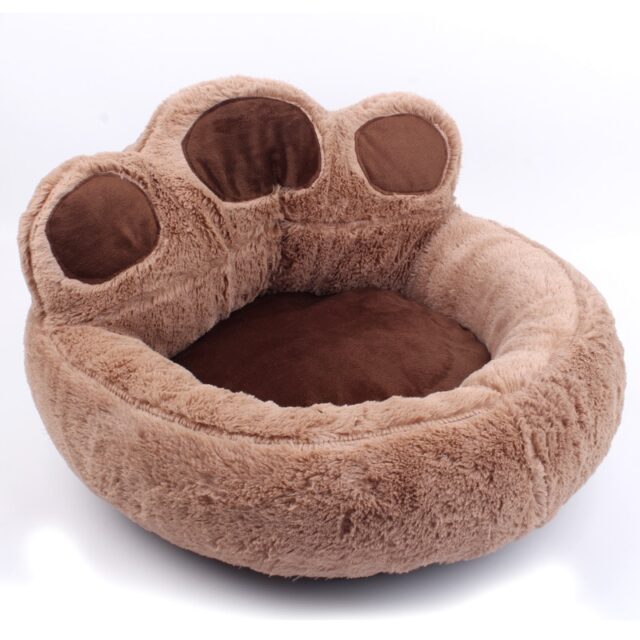Dog’s Paw Shaped Bed
