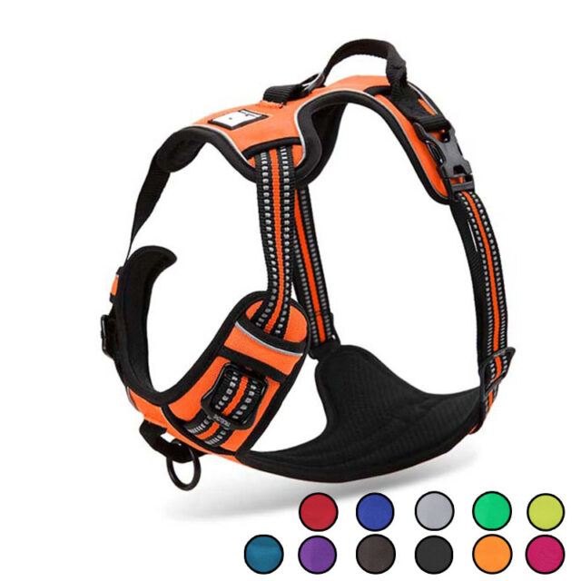 Dog’s Reflective Nylon Harness