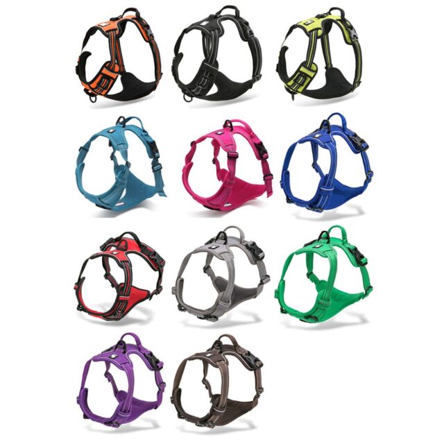 Dog’s Reflective Nylon Harness