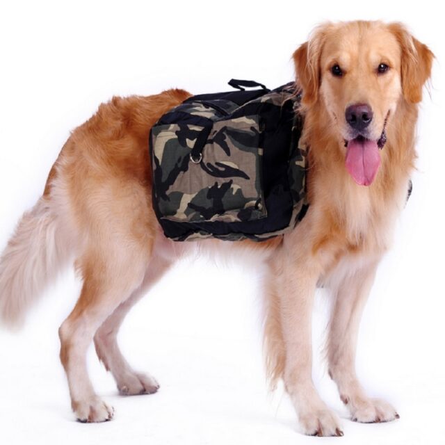 Comfortable Outdoor Large Training Backpack for Big Dogs