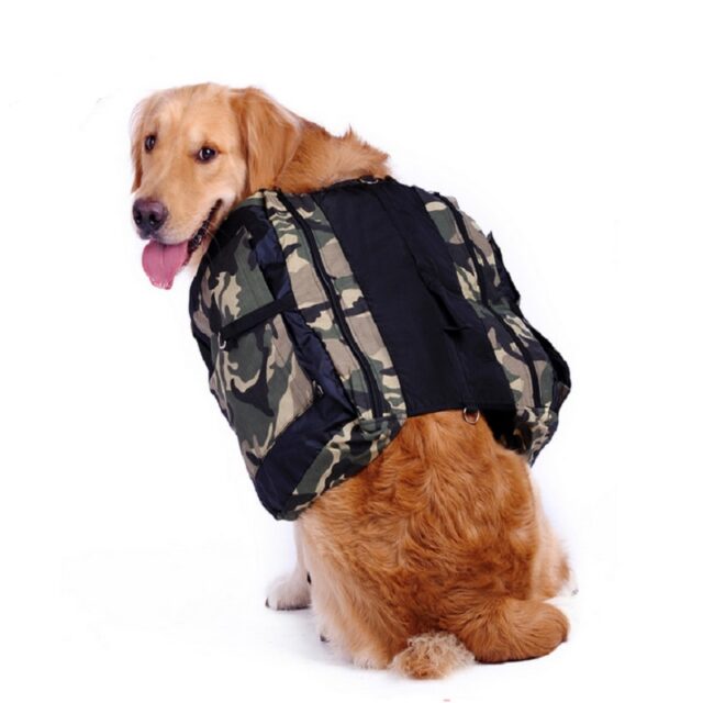 Comfortable Outdoor Large Training Backpack for Big Dogs