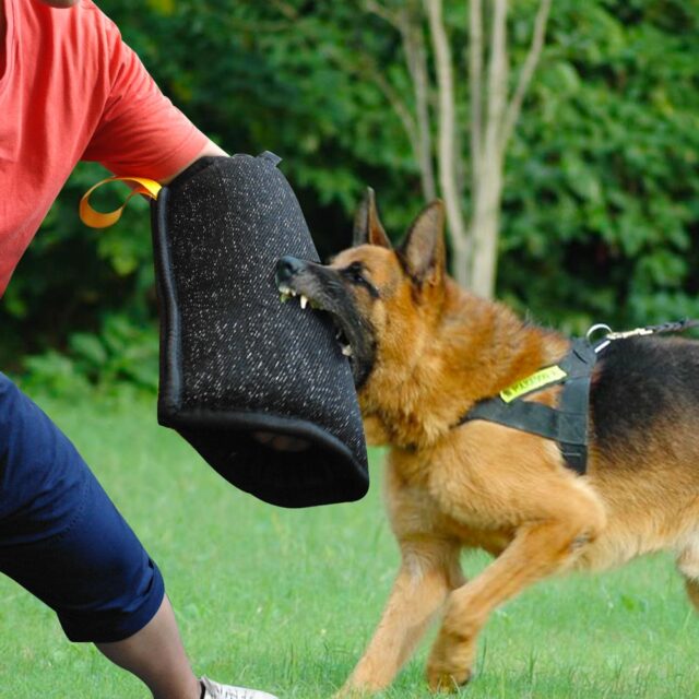 Dog’s Training Bite Sleeve