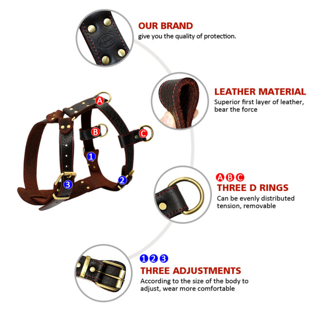 Adjustable Genuine Leather Dog’s Harness