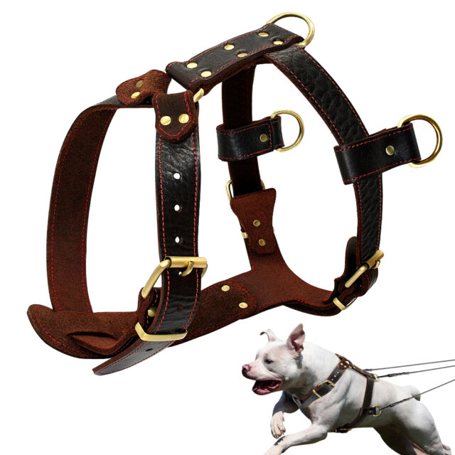 Adjustable Genuine Leather Dog’s Harness