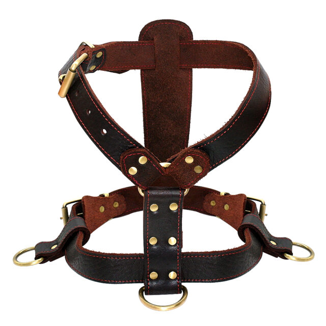 Adjustable Genuine Leather Dog’s Harness