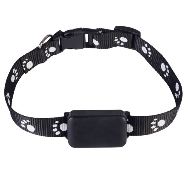 Real-Time GPS Tracker For Pets
