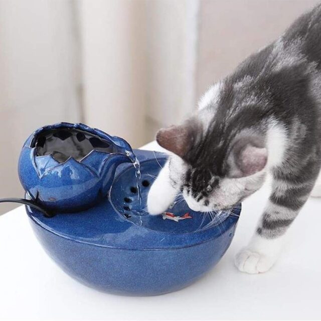 Electric Ceramic Drinking Fountain
