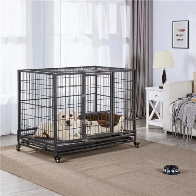 Deluxe Indoor/Outdoor Dog Kennel and Crate Playpen
