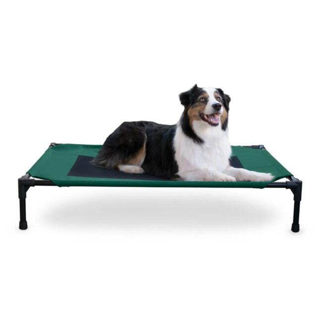 Elevated Breathable Mesh Dog Bed