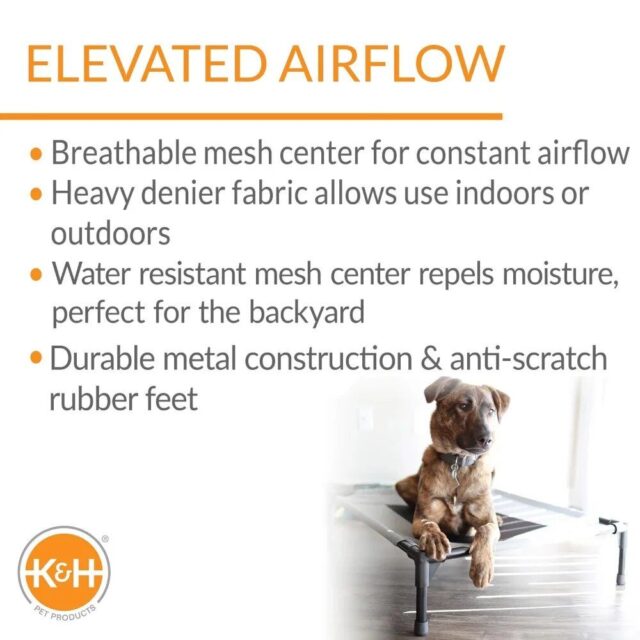 Elevated Breathable Mesh Dog Bed