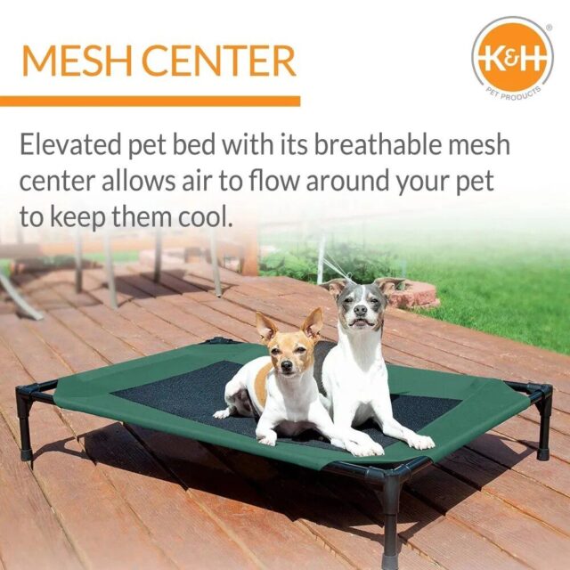 Elevated Breathable Mesh Dog Bed