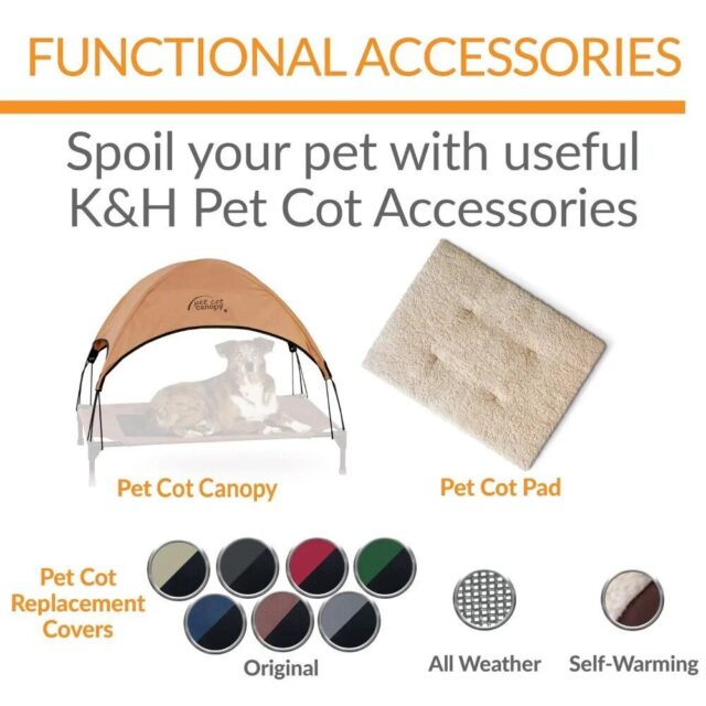 Elevated Breathable Mesh Dog Bed