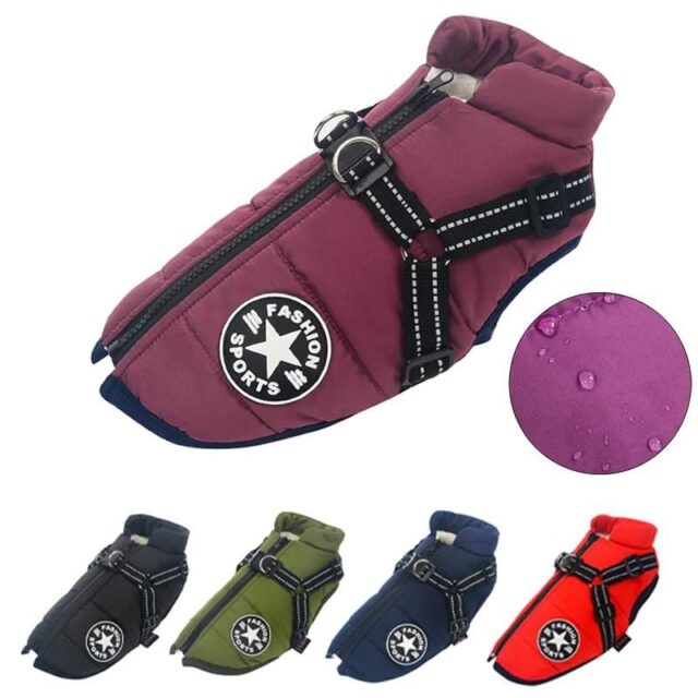 Premium Dog Jacket