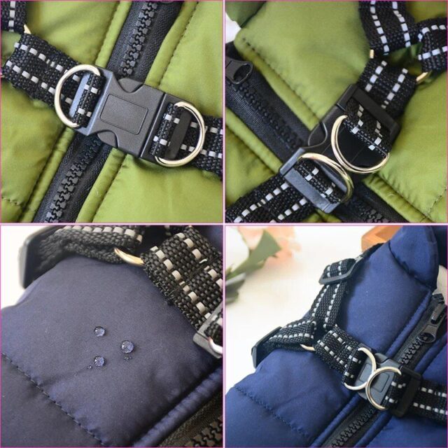 Premium Dog Jacket