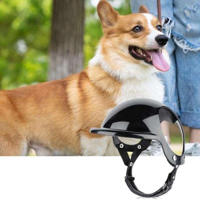 Adjustable Pet Helmet for Dogs