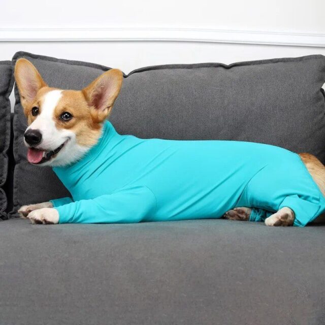 Comfort-Fit Pet Pajamas