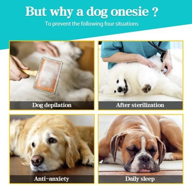 Comfort-Fit Pet Pajamas
