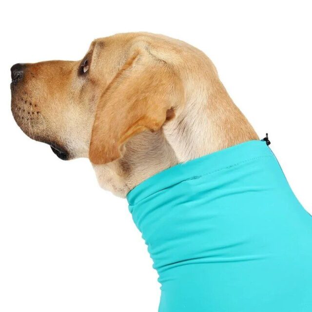 Comfort-Fit Pet Pajamas