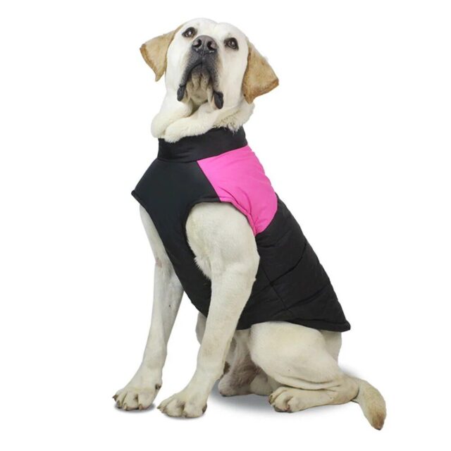 Ultimate Comfort Waterproof Dog Winter Jacket