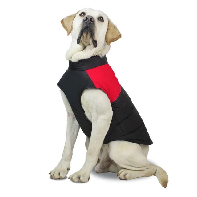 Ultimate Comfort Waterproof Dog Winter Jacket