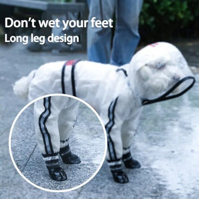 Dog Raincoat