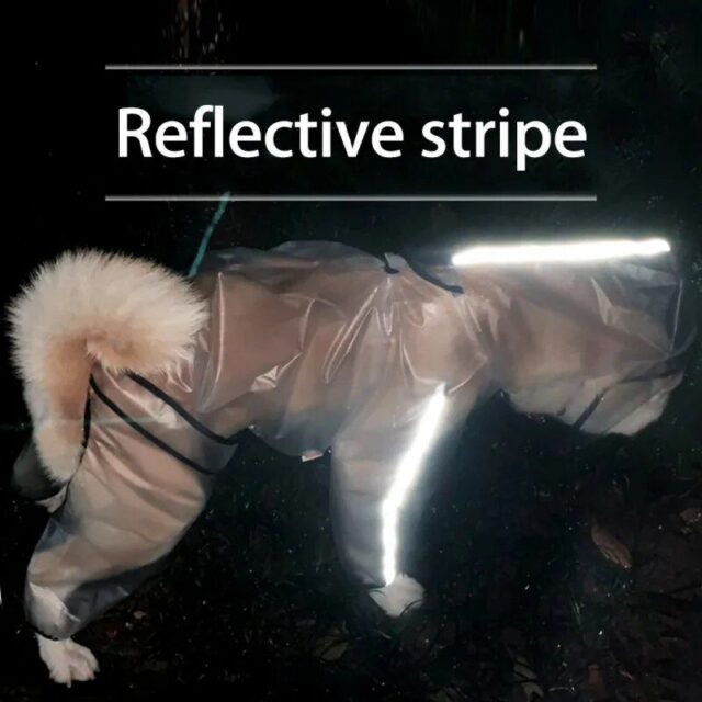 Dog Raincoat